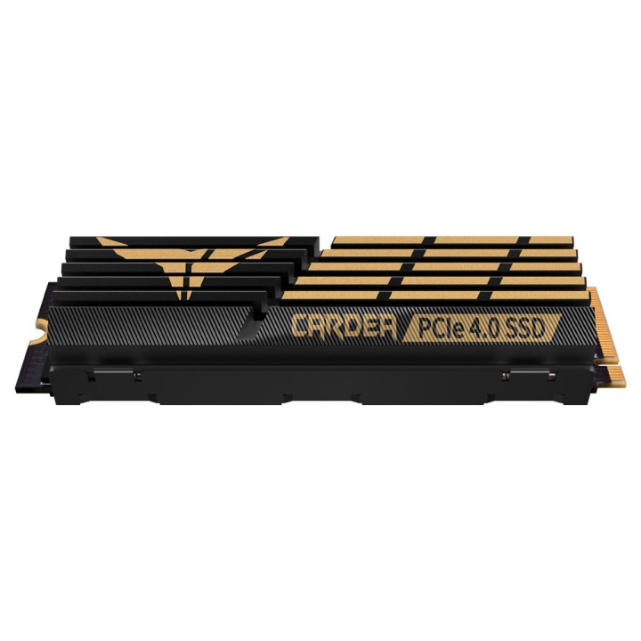 TeamGroup T-FORCE CARDEA A440 M.2 PCIe 4.0 NVMe 1TB Disques SSD Tea...
