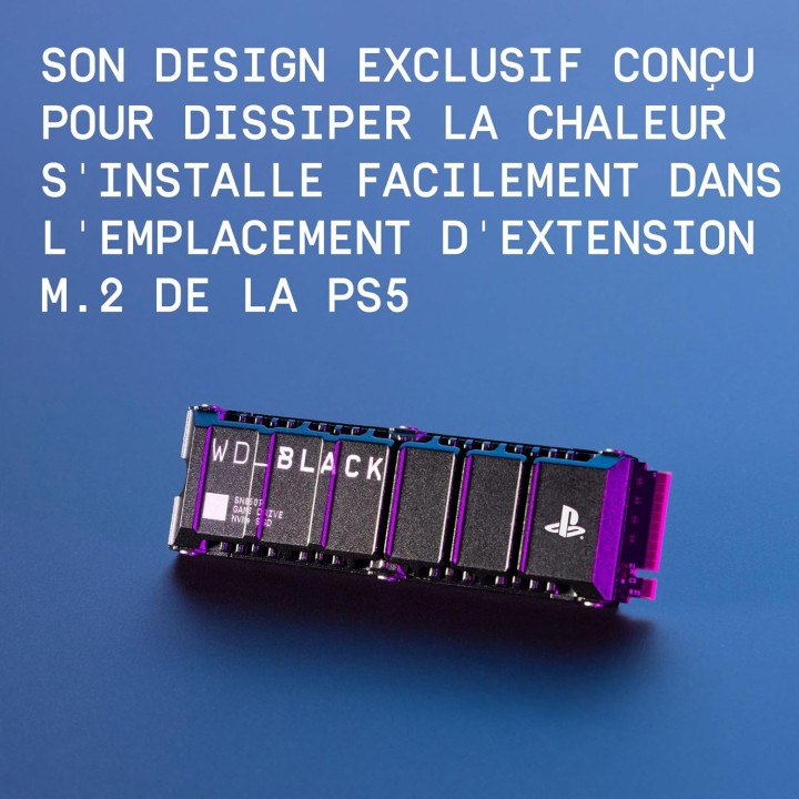 Western Digital SSD WD Black SN850P 1TB - Avec dissipateur thermiqu...