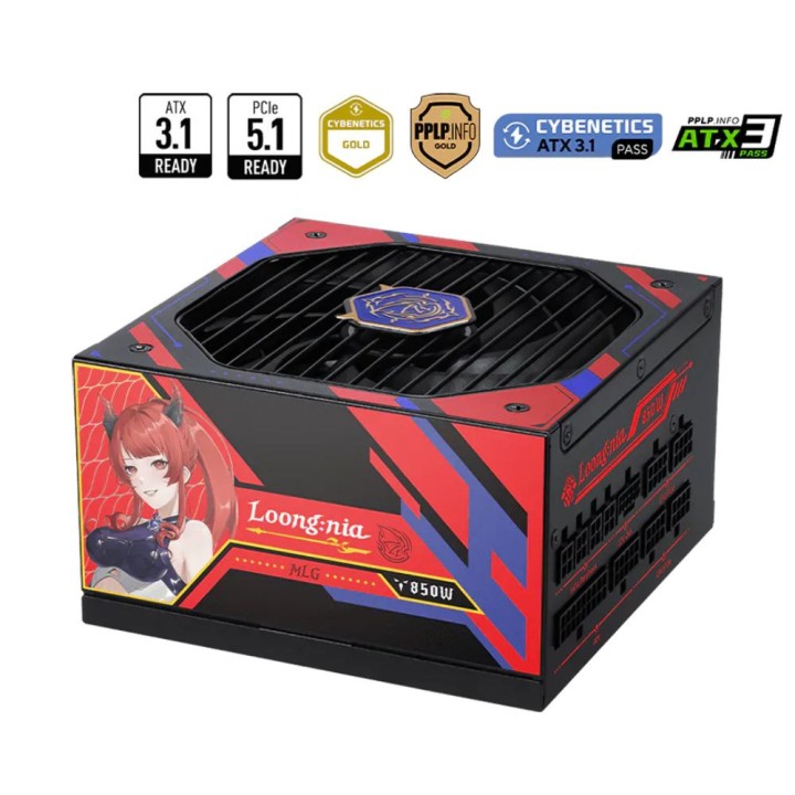 MSI A850GLS MLG Edition 80PLUS Gold 850W Entre 800 W et 899 W MSI M...