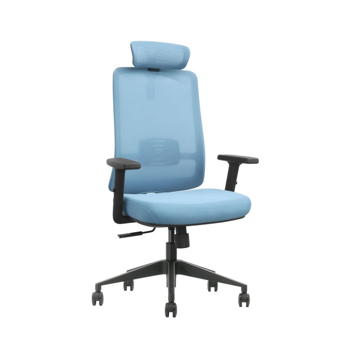 SKILLCHAIRS GV1-BH-12 Chaise ergonomique SKILLCHAIRS Maroc