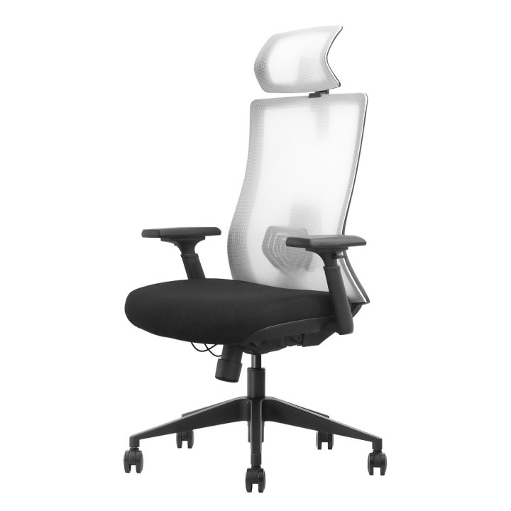 SKILLCHAIRS Ergo Riviera Black Chaise ergonomique SKILLCHAIRS Maroc