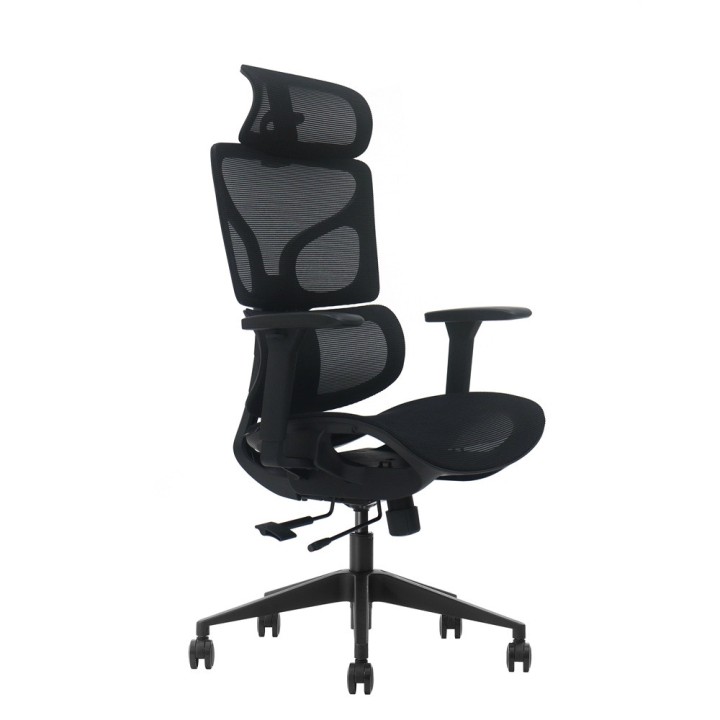 SKILLCHAIRS Ergo Calista (Black) Chaise ergonomique SKILLCHAIRS Maroc