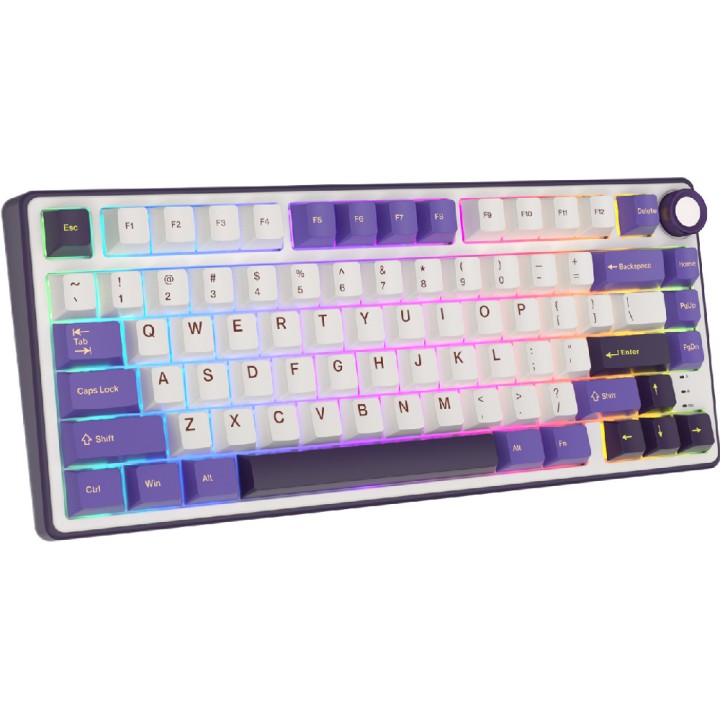 Royal Kludge R75 (Blackberry Mousse) Claviers Royal Kludge Maroc
