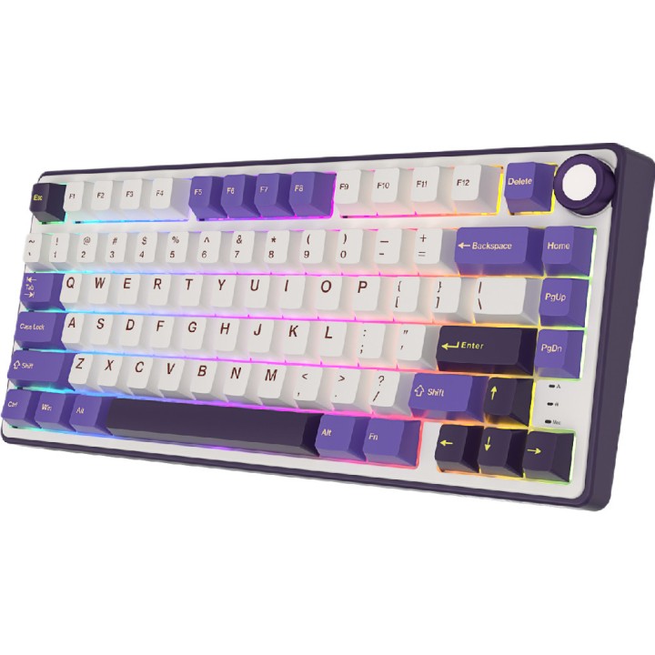 Royal Kludge R75 (Blackberry Mousse) Claviers Royal Kludge Maroc