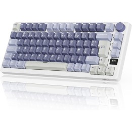 Royal Kludge RKM75 (Bleu) Claviers Royal Kludge Maroc