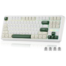 Redragon K734 Wildslash Wireless Mechanical Keyboard (GlowArc) Clav...