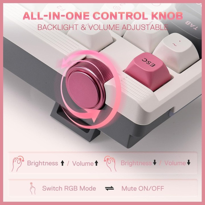Redragon K729 OTIM Mechanical Keyboard (White/Black/Pink) Claviers ...