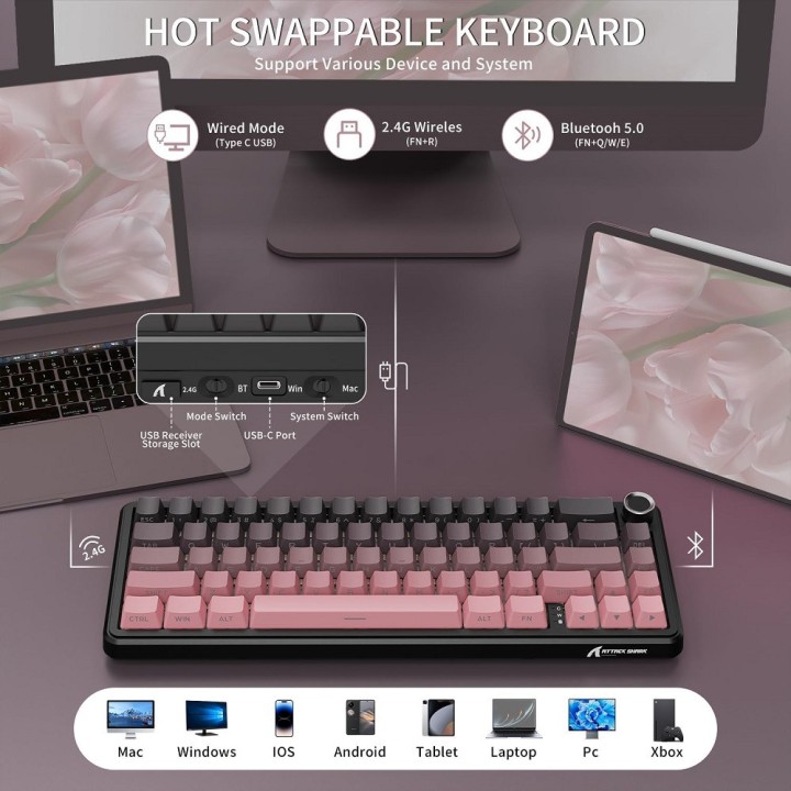 ATTACK SHARK X66 Blueberry Switch (Blackberry) Claviers ATTACK SHAR...