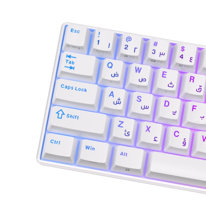 Royal Kludge RK61 White - Blue Switch (US Qwerty) Claviers Royal Kl...