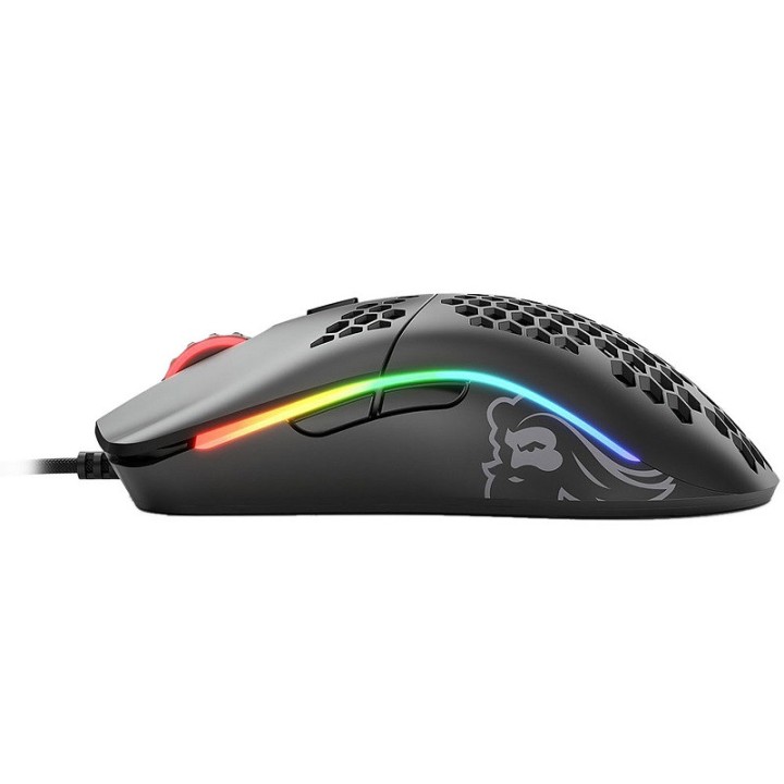 Glorious Model O Regular RGB (Noir Mat) + Bungee + G-Skates Souris ...