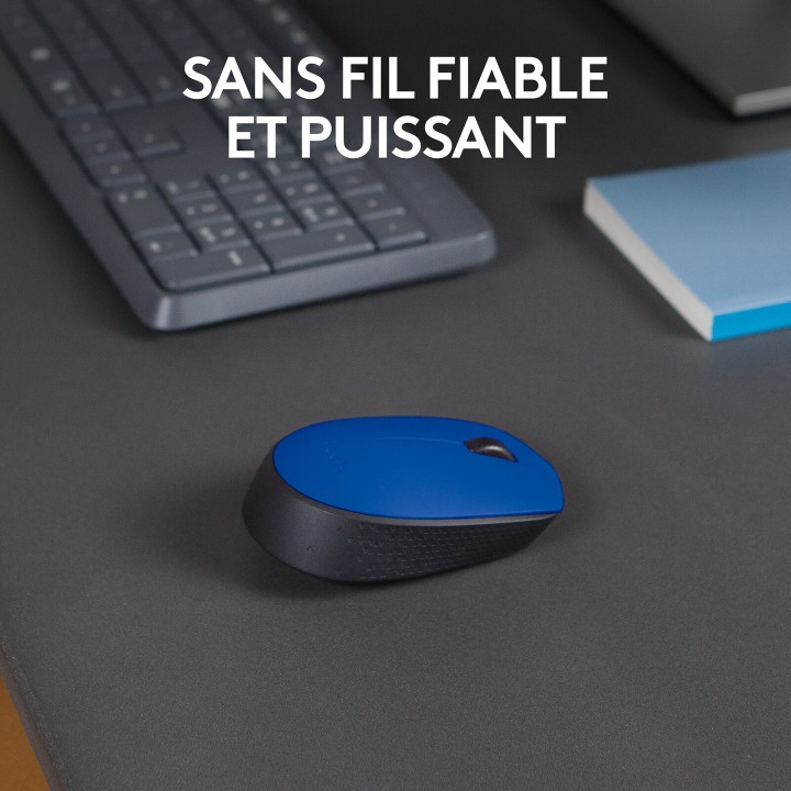 Logitech M171 Wireless Mouse (Blue) Souris Logitech Maroc